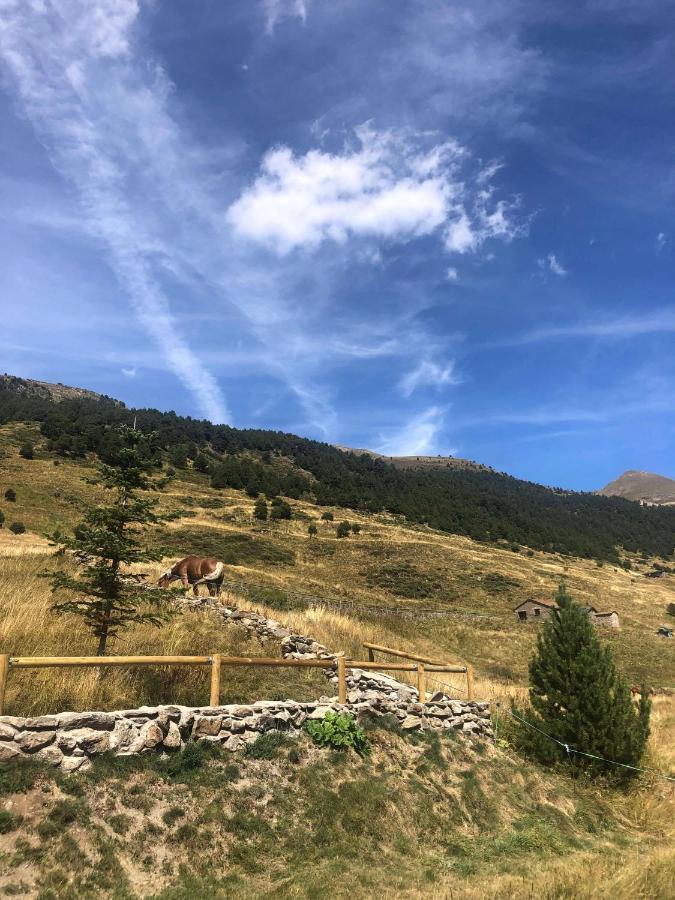 Casita De Madera A Peu Del Riu - Sol Y Nieve - Parking Incluido *